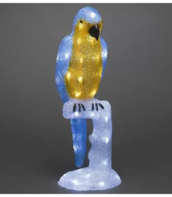 Perroquet Lumineux 50 Cm En Acrylique, 48 Diodes Blanc Chaud